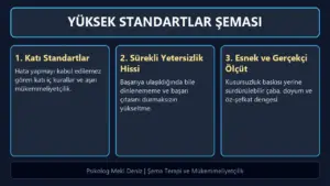 Yüksek Standartlar Şeması: Mükemmeliyetçilik Tuzağı ve Aşırı Eleştirellik